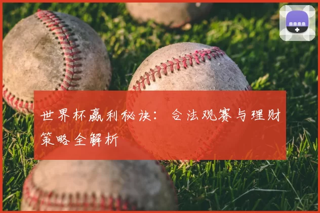 世界杯赢利秘诀：合法观赛与理财策略全解析