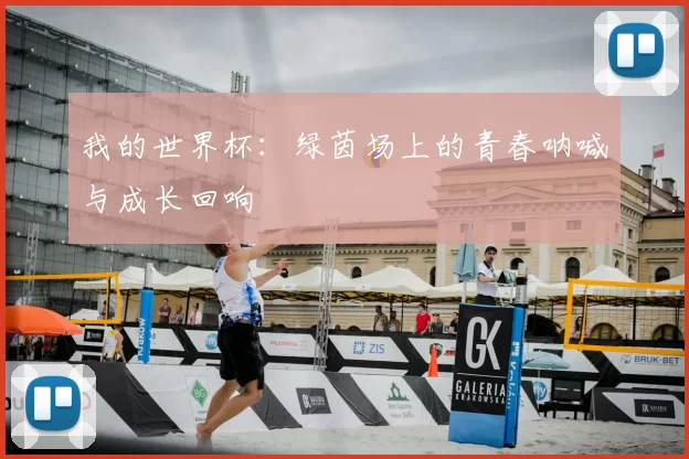 我的世界杯:绿茵场上的青春呐喊与成长回响