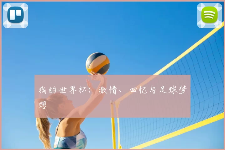 我的世界杯：激情、回忆与足球梦想