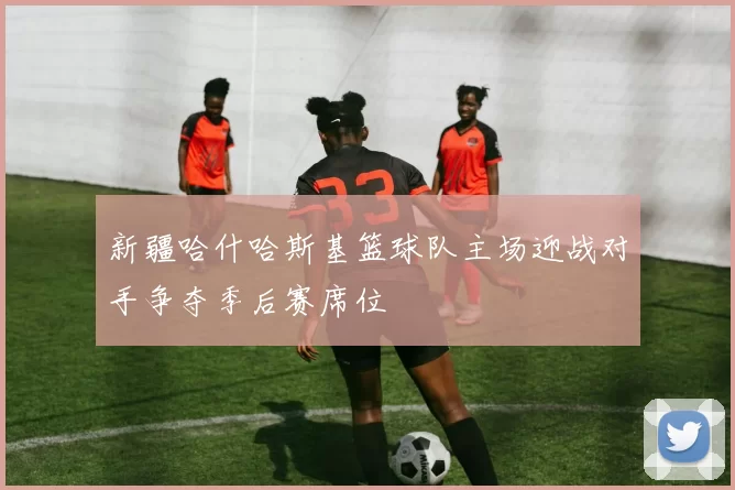 新疆哈什哈斯基篮球队主场迎战对手争夺季后赛席位