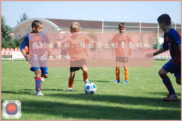 我的世界杯:绿茵场上的青春呐喊与成长回响