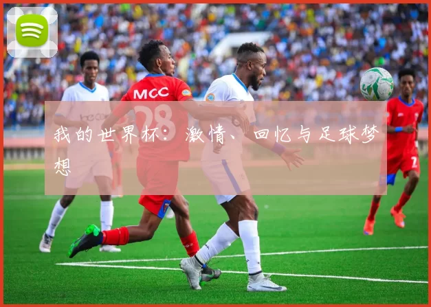 我的世界杯：激情、回忆与足球梦想