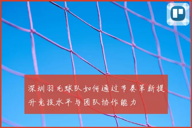 深圳羽毛球队如何通过节奏革新提升竞技水平与团队协作能力