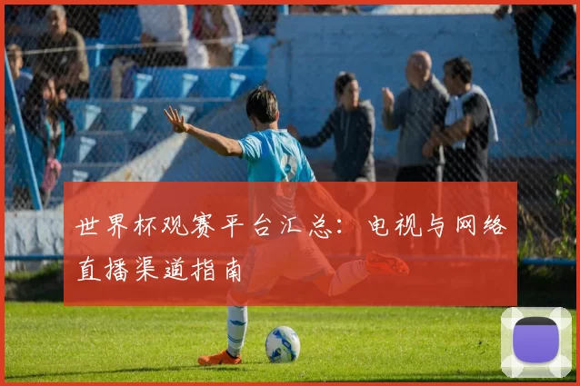 世界杯观赛平台汇总：电视与网络直播渠道指南