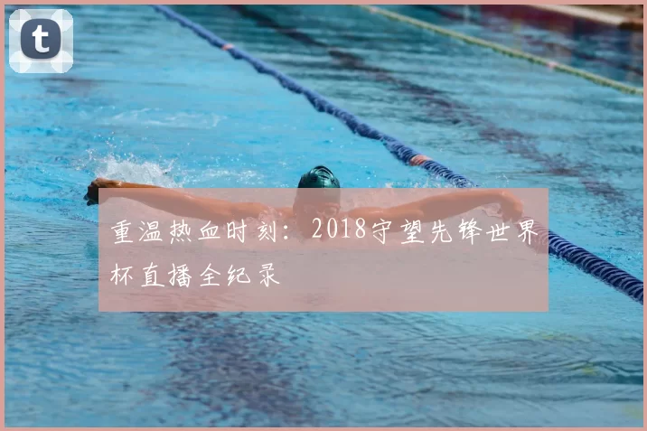 重温热血时刻：2018守望先锋世界杯直播全纪录