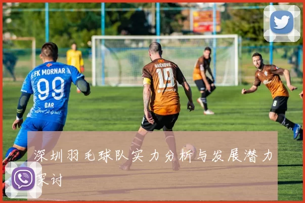 深圳羽毛球队实力分析与发展潜力探讨