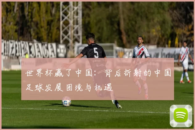 世界杯赢了中国:背后折射的中国足球发展困境与机遇