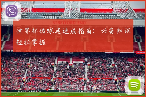 世界杯伪球迷速成指南：必备知识轻松掌握